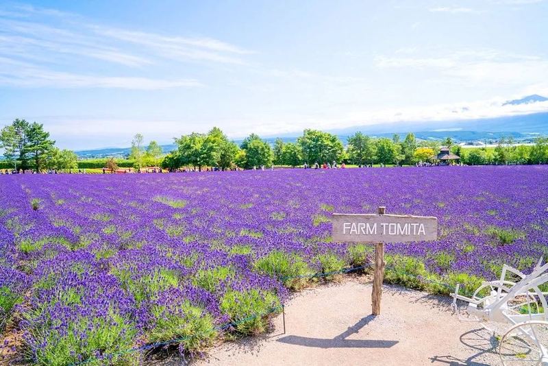 自律的人生到底有多可怕