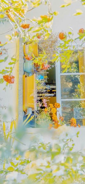 坚持早起一年我的人生发生了什么变化