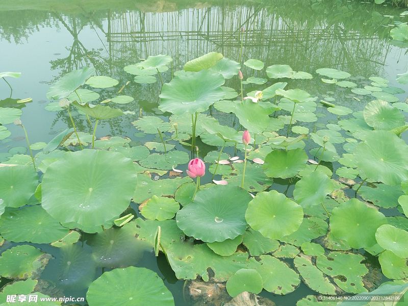 分手后还能做朋友吗？今天终于有人说透了
