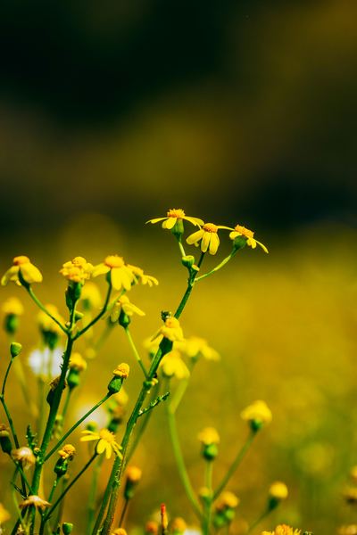 一位心理咨询有用吗要花多少钱的读者来信，看哭了无数人 —— 戒手机必读