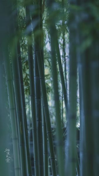 职场新人被欺负背后的深层原因，终于说清楚了