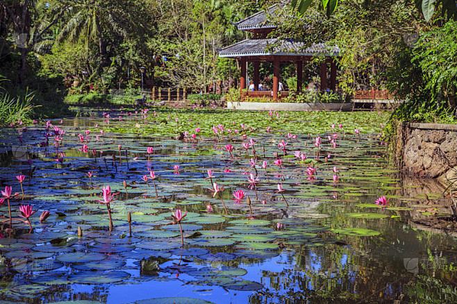 劈腿被发现还能原谅吗？可能你一直理解错了