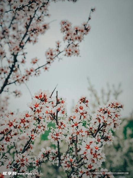 怎么提高自己的情商：一个过来人的血泪教训