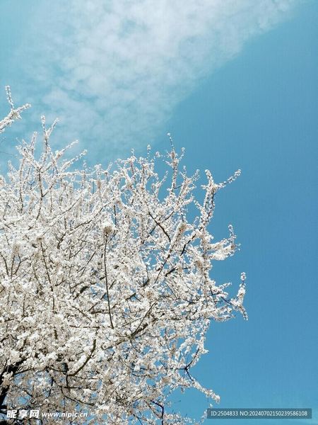 高质量的亲密关系长什么样