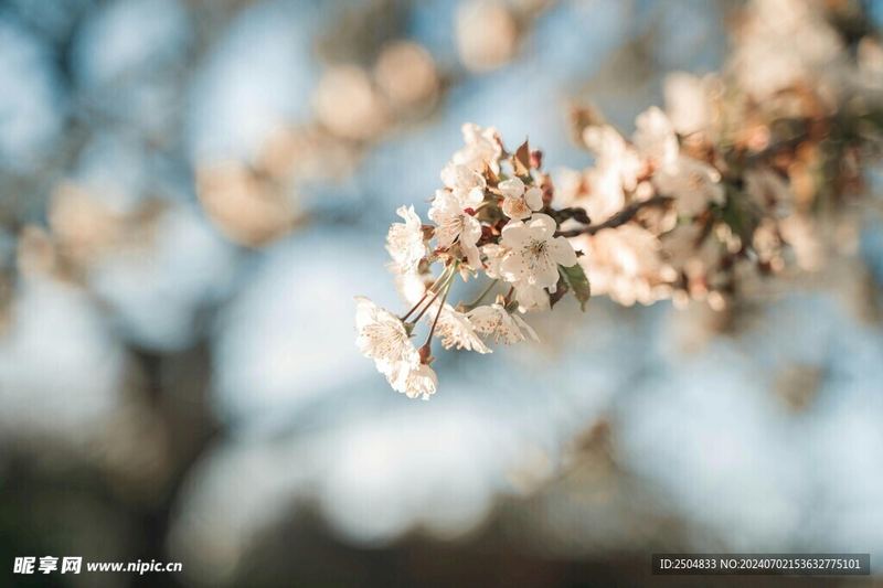 关于怎么提高社交能力，一个真实故事改变了我的看法