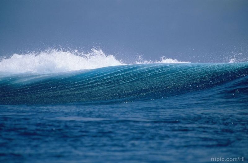 金钱心理学：领导总是针对我怎么办？心理学家推荐的4步自救指南