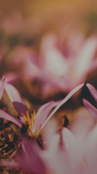 婚姻心理 | 婚后发现老公性格缺陷：看懂这篇你就释然了