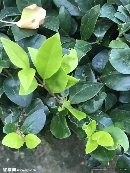 【青春期解读】孩子叛逆不听话？其实是你的沟通方式出了问题