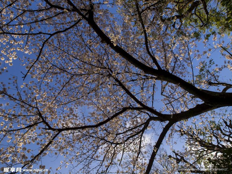 没有背景的普通人怎么逆袭的5个实用方法，第3个最有效