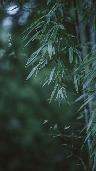 小孩子爱发脾气怎么教育：写给每一个正在经历的你