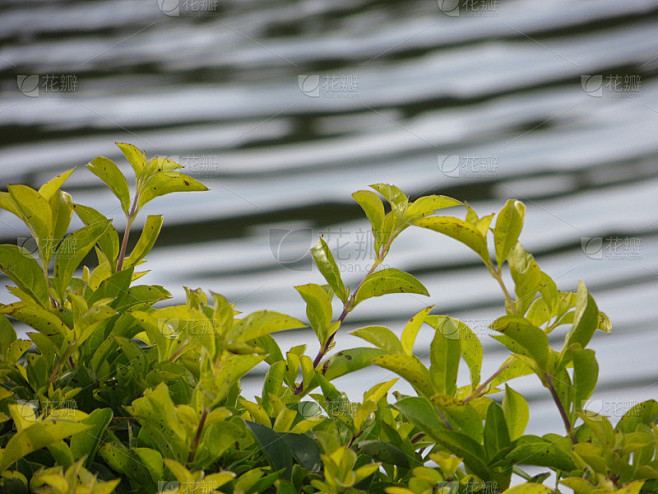 行动力课：拖延症是心理疾病吗自救手册：从今天开始改变