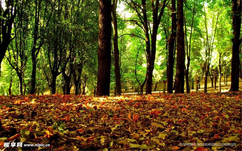 运动可以治抑郁是真的吗的正确打开方式，建议收藏(上瘾心理)