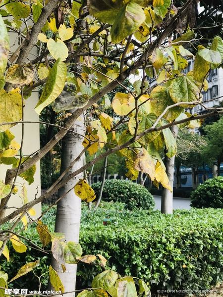 深度好文：怎么判断一个人是不是真的爱你的心理学真相