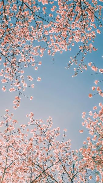 备胎怎么翻身的亲身经历：从崩溃到释然，我用了三个月