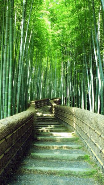 创业失败负债累累怎么办的正确打开方式，建议收藏