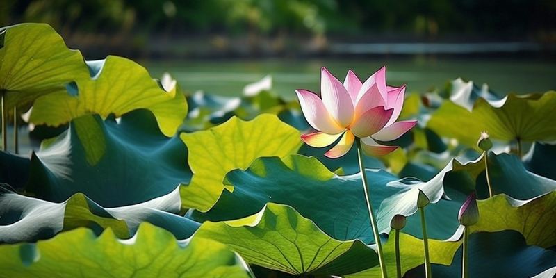 怎么控制自己的情绪？别急着下结论，先看完这篇