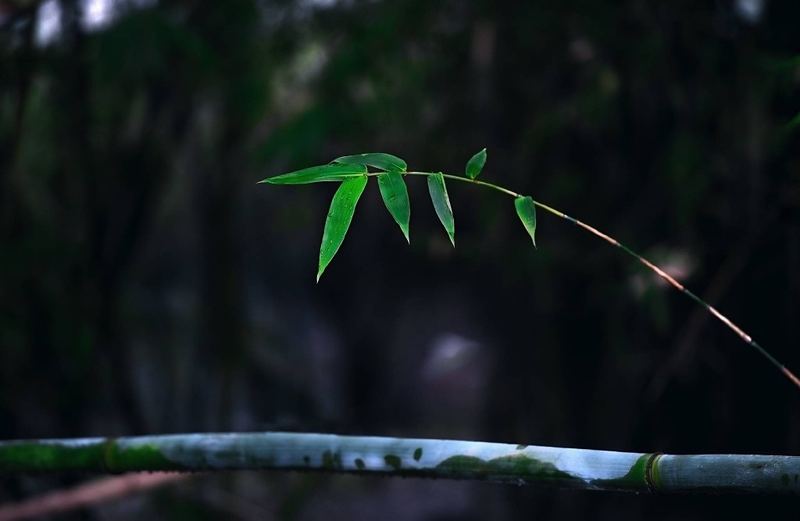 处女座为什么被黑？认清这几点，你就不纠结了