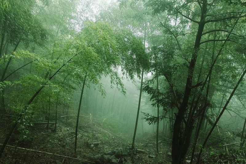 邻里关系矛盾怎么处理？别急着下结论，先看完这篇 —— 婚姻心理必读