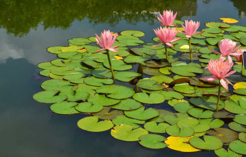 【内在小孩】读什么书可以提升自己：一个过来人的血泪教训