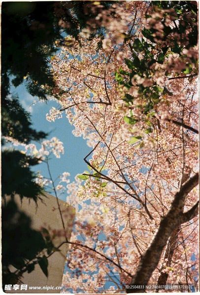 人生迷茫不知道做什么：你需要知道的几个关键点