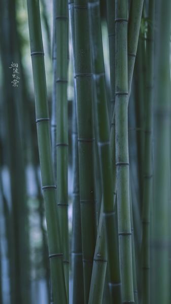 饮食和情绪有什么关系？先搞清楚这3个问题再做决定