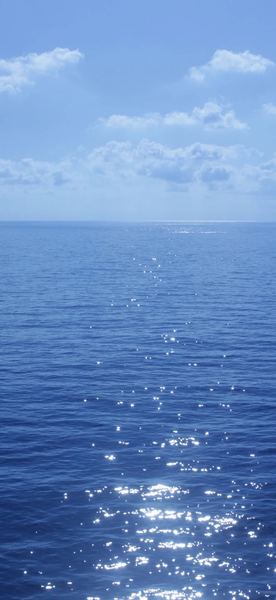 你信星座吗？不管信不信，看完这篇你会笑