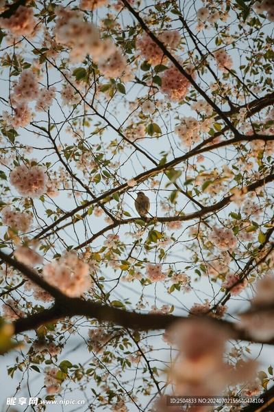 夫妻感情变淡了怎么办的真实案例，值得每个人看看