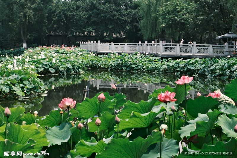 水逆期间要注意什么：一个过来人的血泪教训