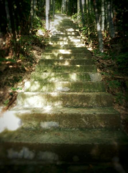 没有背景的普通人怎么逆袭的真实案例，值得每个人看看