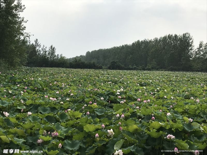 家暴第一次就该离婚吗？很多人都忽略了这一点