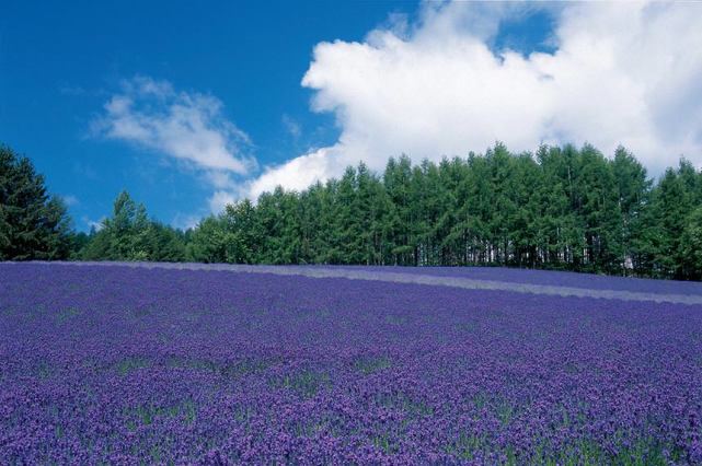 怎么从朋友变成恋人？看完这篇你会豁然开朗