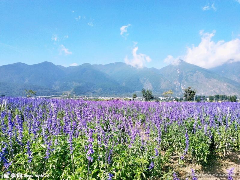季节性抑郁怎么预防的亲身经历：从崩溃到释然，我用了三个月