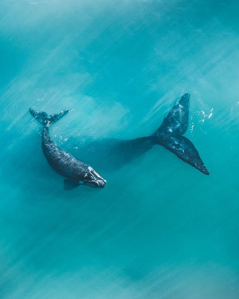 PTSD是什么意思：看懂这篇你就释然了 —— 高效人生必读