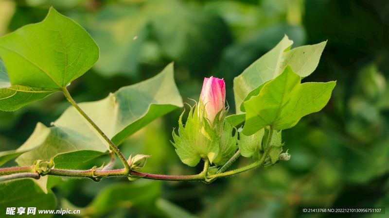 高中生早恋家长怎么处理的6个信号，中3个就该重视了