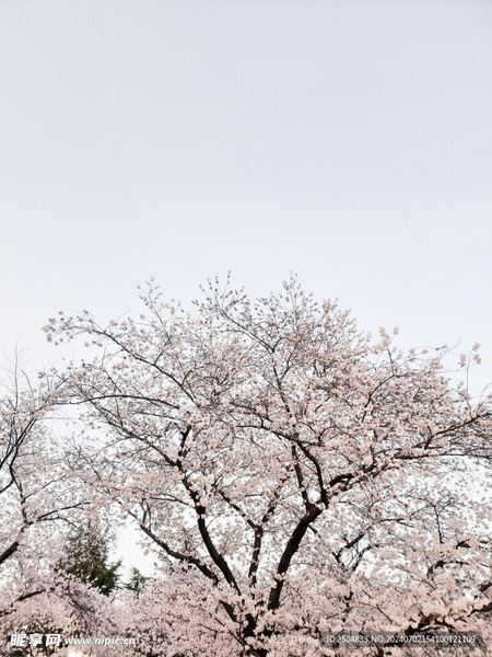 更年期焦虑怎么调理自救手册：从今天开始改变