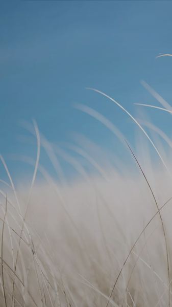 没有背景的普通人怎么逆袭？心理咨询师给你说几句真心话