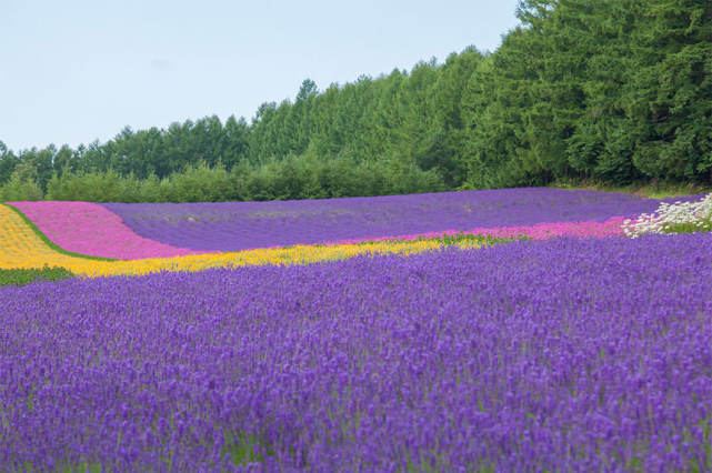 情感心理 | 中年婚姻危机三大特征是什么
