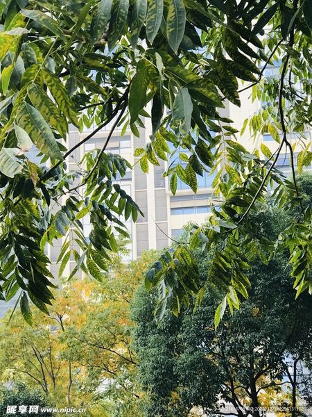 孩子在学校被欺负怎么办？心理学教你正确应对