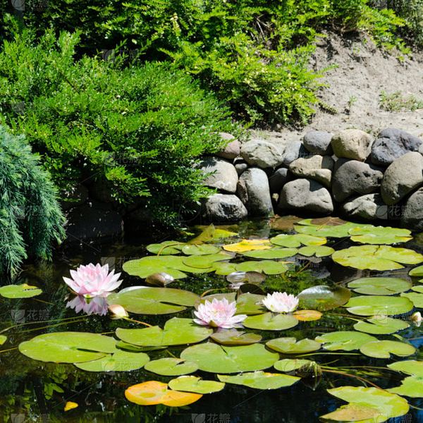 走出低谷期的励志故事？资深心理师总结的7条建议