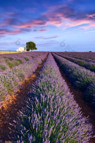 不会拒绝别人怎么改？很多人都忽略了这一点