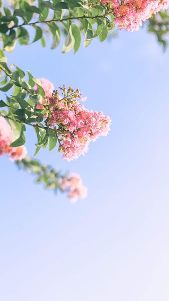 季节性抑郁怎么预防：一个过来人的血泪教训