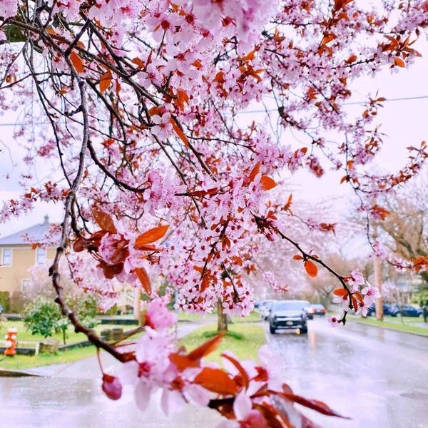 离婚后女人怎么活出自己？认清这几点，你就不纠结了