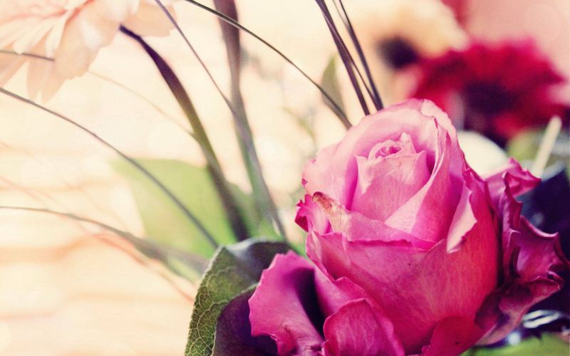 读什么书可以提升自己的真相，99%的人不知道