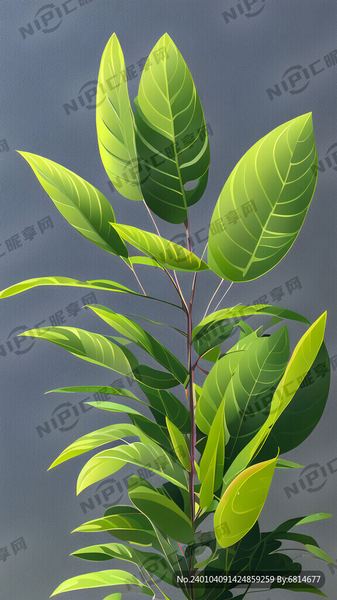 恐婚恐育是心理问题吗：看懂这篇你就释然了