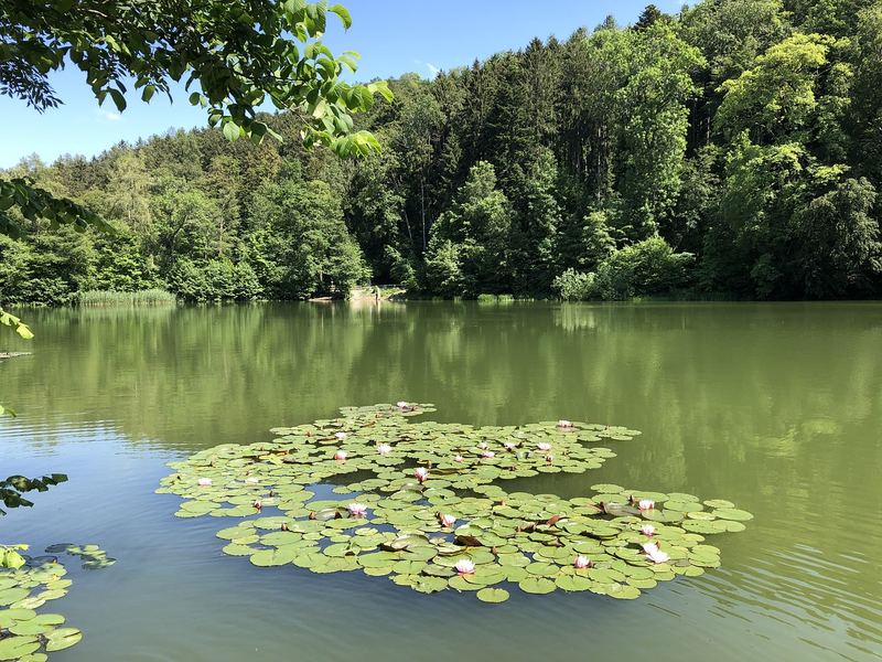 自律养成 | 抑郁症患者的自愈故事？90%的人都踩过这个坑